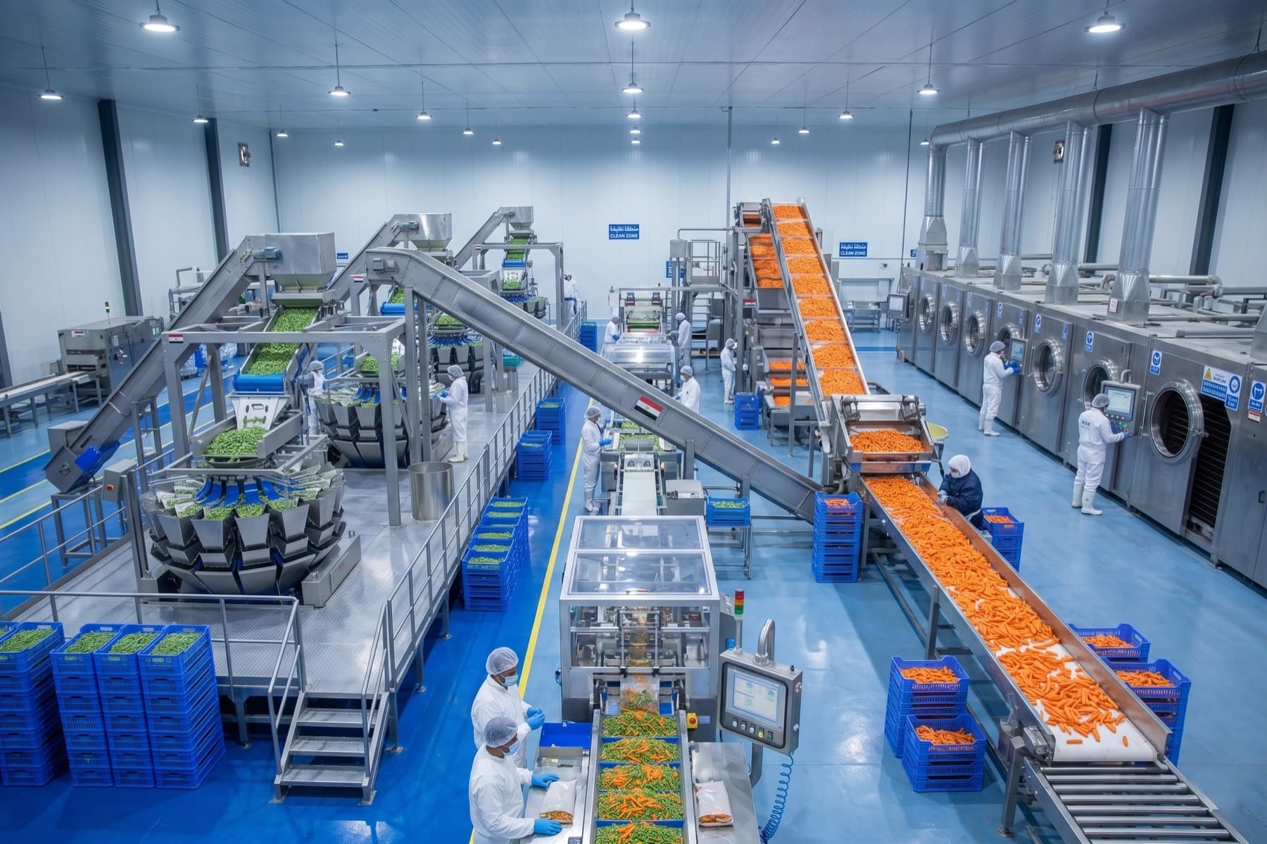 Raya Foods production line